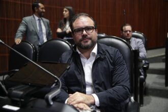 México eleva penas por tala ilegal: hasta 20 años de cárcel