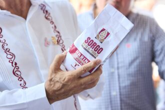 Sorgo blanco fortalece economía y desarrollo rural en Tamaulipas