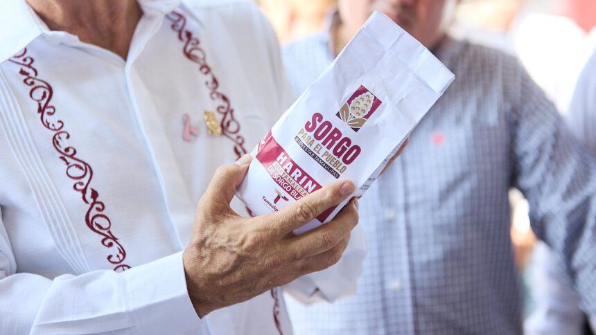 Sorgo blanco fortalece economía y desarrollo rural en Tamaulipas