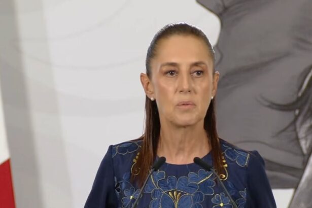 Sheinbaum advierte riesgo de injerencia extranjera en elecciones