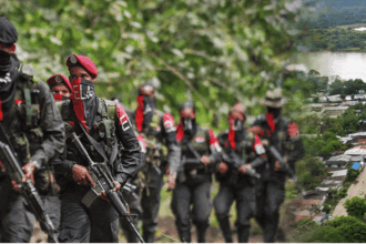 ELN decreta cese al fuego unilateral durante elecciones en Colombia