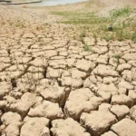 La OMM alerta de un posible El Niño fuerte tras el verano
