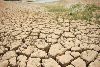 La OMM alerta de un posible El Niño fuerte tras el verano