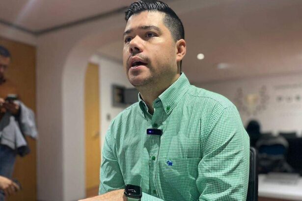 PVEM Puebla definirá en qué municipios irá aliado con Morena