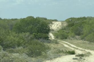 Colectivos suspenden búsquedas de desaparecidos en Tamaulipas