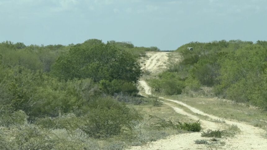 Colectivos suspenden búsquedas de desaparecidos en Tamaulipas