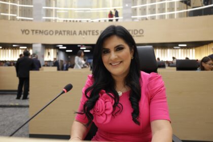 PRI en Puebla afirma que competirá solo en elecciones 2027