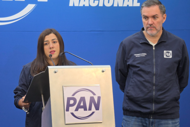 PAN propone protocolo único contra despojo de propiedades