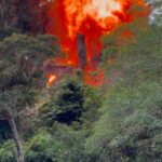 Ecuador y EEUU destruyen base narco en manglares de Esmeraldas