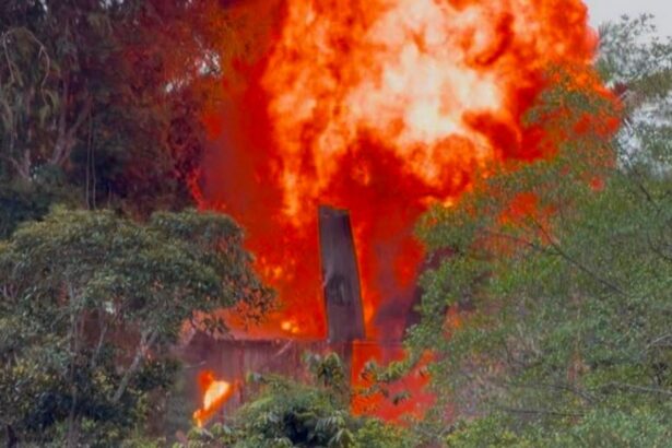 Ecuador y EEUU destruyen base narco en manglares de Esmeraldas