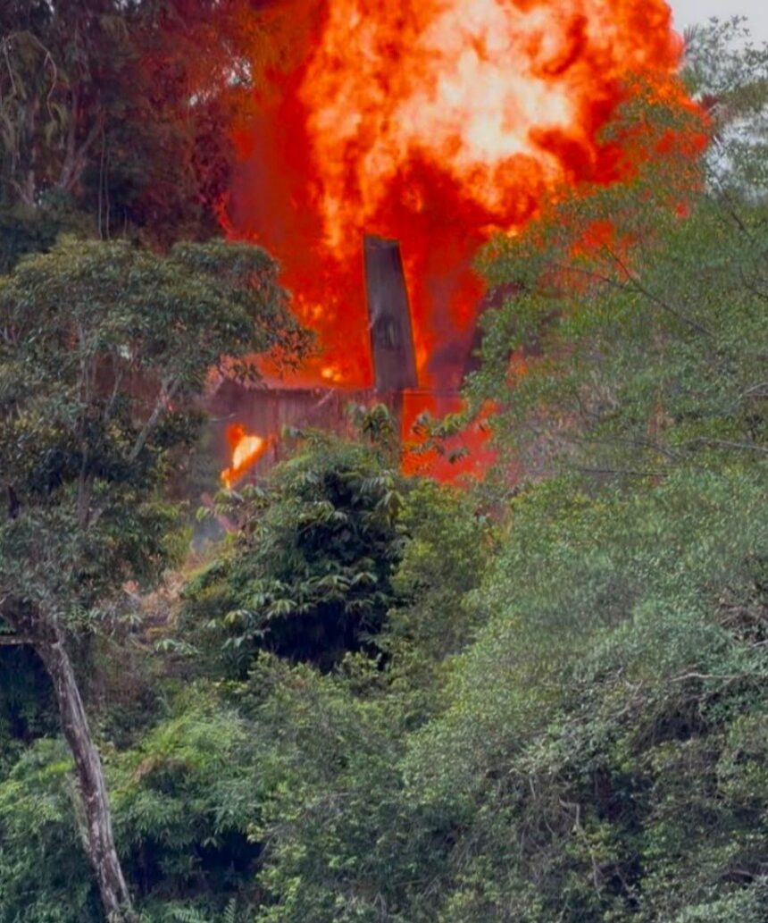 Ecuador y EEUU destruyen base narco en manglares de Esmeraldas