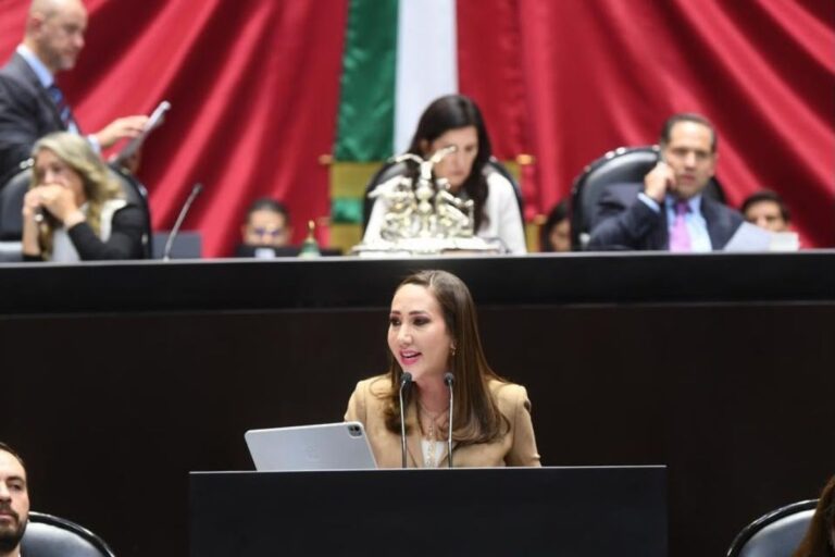 PAN alerta sobre riesgos a libertad de prensa por nueva regulación
