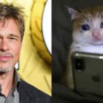 Brad Pitt admite haber retomado el alcohol tras siete años sobrio