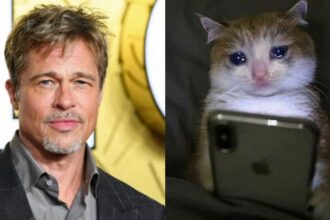 Brad Pitt admite haber retomado el alcohol tras siete años sobrio