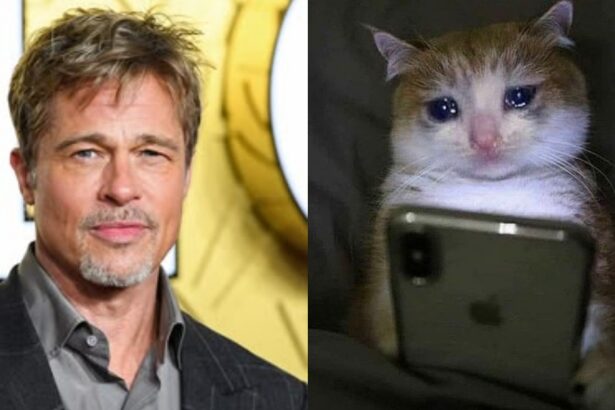 Brad Pitt admite haber retomado el alcohol tras siete años sobrio