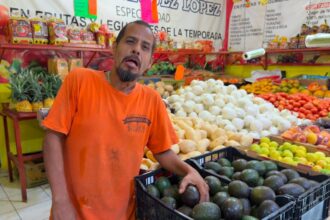 Precio del aguacate en Nuevo León se mantiene estable tras crisis