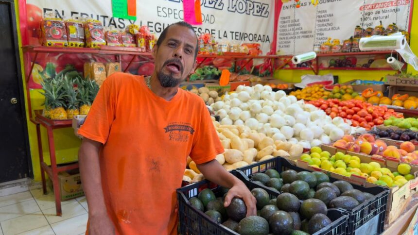 Precio del aguacate en Nuevo León se mantiene estable tras crisis