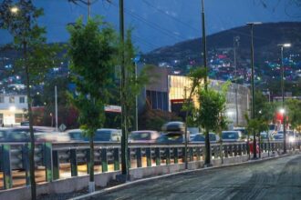 Ciudadanos plantan 1.1 millones de árboles en Nuevo León