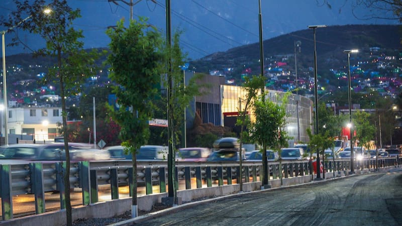 Ciudadanos plantan 1.1 millones de árboles en Nuevo León