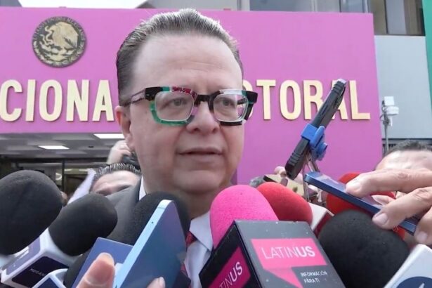 Felipe de la Mata niega parcialidad en el TEPJF hacia Morena