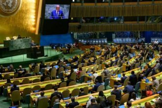 ONU urge a regular la inteligencia artificial por riesgos a DDHH