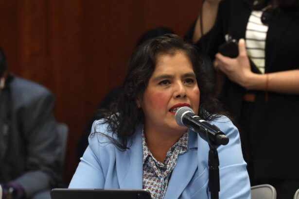 Morena propone prohibir doble nacionalidad a senadores en México
